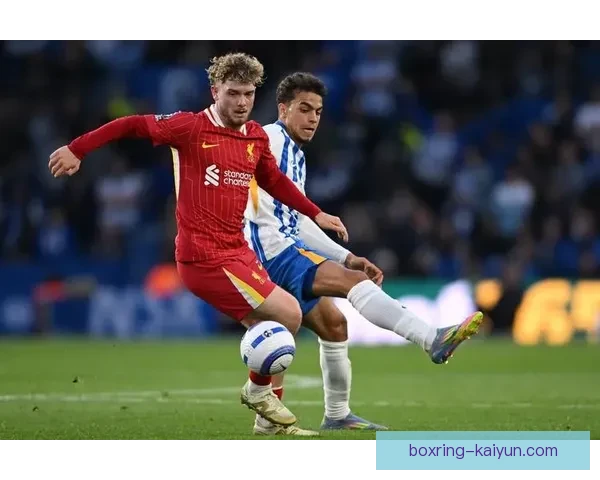 英超布莱顿近期表现稳健，持续保持强劲竞争力